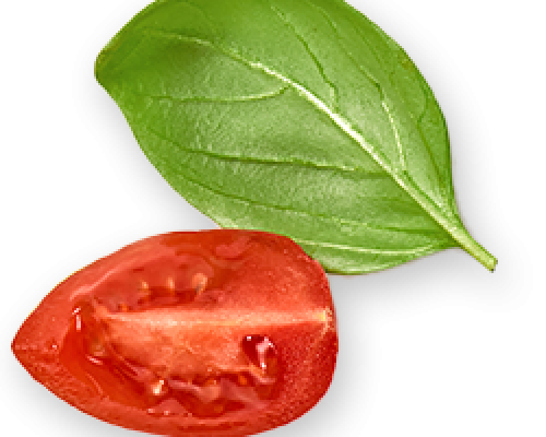 tomat-leaf